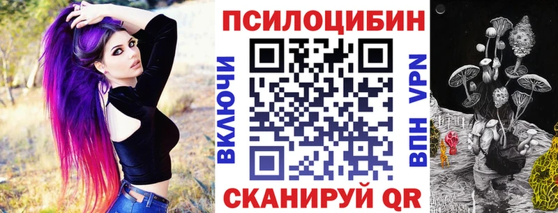 наркотики  Рославль  Псилоцибиновые грибы Cubensis 