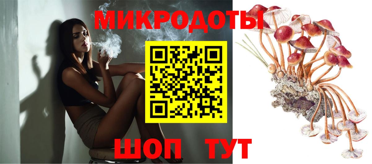 магазин продажи   Рославль  Псилоцибиновые грибы Psilocybe 