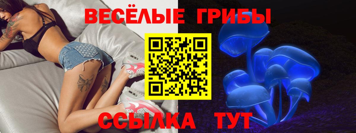 Рославль  Псилоцибиновые грибы прущие грибы  Вход с VPN 